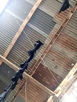 Snapshot of Davir2001 chatting on 03-14-26, 09:42 Davir2001 online show from 03-14-26, 09:42