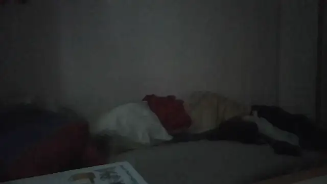 Snapshot of ARTANIS20 chatting on 01-11-26, 07:35 ARTANIS20 online show from 01-11-26, 07:35