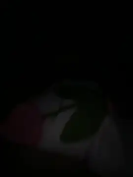 Snapshot of tarantan1993 chatting on 03-05-26, 11:01 tarantan1993 online show from 03-05-26, 11:01