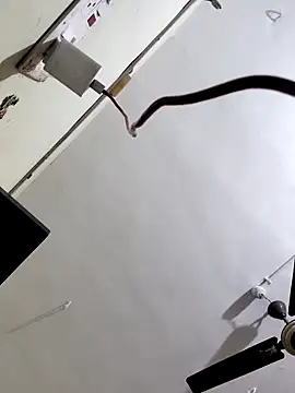 Snapshot of papukurty chatting on 10-07-25, 03:14 papukurty online show from 10-07-25, 03:14