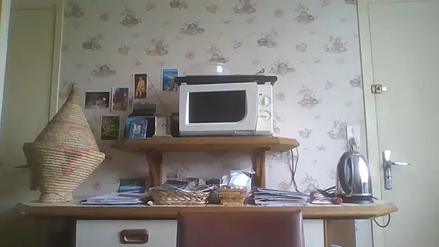 Snapshot of gegevincent chatting on 05-02-26, 11:37 gegevincent online show from 05-02-26, 11:37