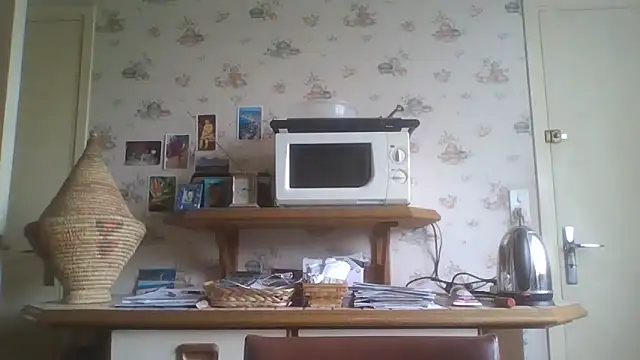 Snapshot of gegevincent chatting on 05-03-26, 11:27 gegevincent online show from 05-03-26, 11:27