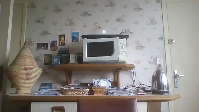 Snapshot of gegevincent chatting on 05-10-26, 01:27 gegevincent online show from 05-10-26, 01:27