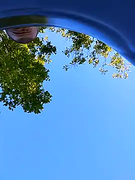 helldonk online show from 09-21-25, 02:08