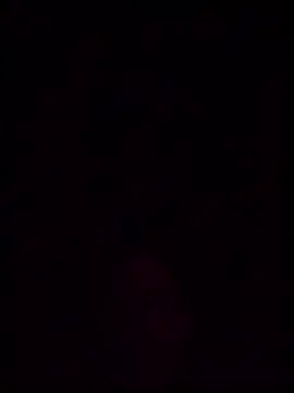 helldonk online show from 03-23-26, 08:07