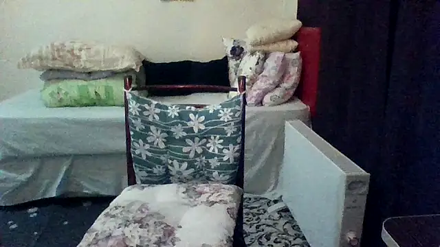 st206boy online show from 03-08-26, 11:08