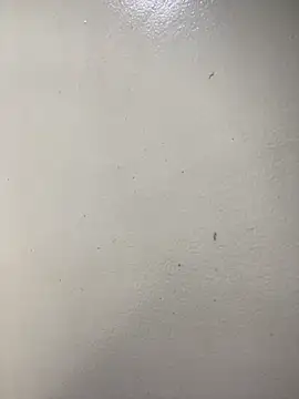 Snapshot of Issa_Santana chatting on 02-21-26, 07:15 Issa Santana online show from 02-21-26, 07:15