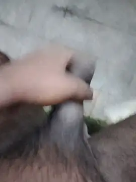 Snapshot of Saikishore00000 chatting on 09-12-25, 02:28 Saikishore00000 online show from 09-12-25, 02:28