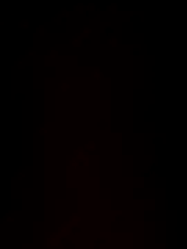 paigeycakes online show from 10-11-25, 05:17