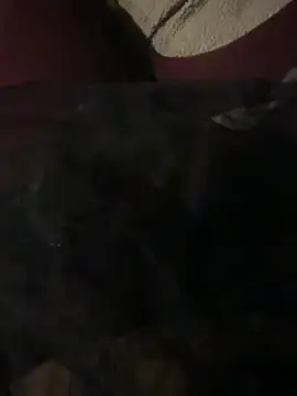 nenad062 online show from 12-17-25, 07:03