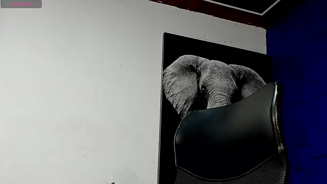 king falconer online show from 11-17-25, 01:44