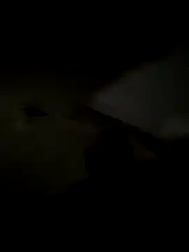 freedmar online show from 11-05-25, 11:32