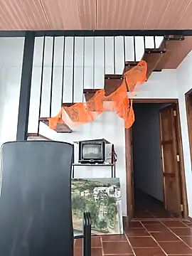 Snapshot of Hiroshi_Shen chatting on 11-02-25, 12:07 Hiroshi Shen online show from 11-02-25, 12:07