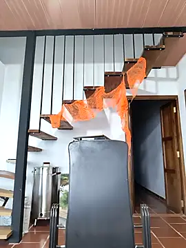 Snapshot of Hiroshi_Shen chatting on 11-05-25, 11:21 Hiroshi Shen online show from 11-05-25, 11:21