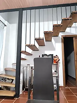 Snapshot of Hiroshi_Shen chatting on 11-17-25, 11:27 Hiroshi Shen online show from 11-17-25, 11:27