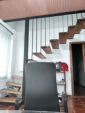 Snapshot of Hiroshi_Shen chatting on 11-19-25, 11:10 Hiroshi Shen online show from 11-19-25, 11:10