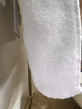 Snapshot of Hiroshi_Shen chatting on 11-27-25, 11:23 Hiroshi Shen online show from 11-27-25, 11:23