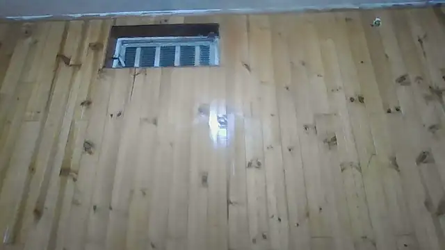 Roselingalvis13 online show from 10-30-25, 03:19