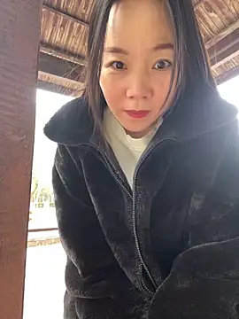 Snapshot of xinmeng-000 chatting on 03-19-26, 08:29 xinmeng-000 online show from 03-19-26, 08:29