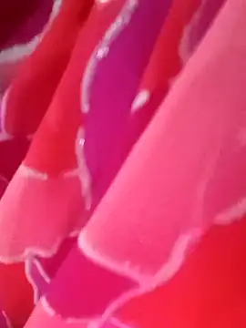 Snapshot of kittu0987 chatting on 02-09-26, 05:00 kittu0987 online show from 02-09-26, 05:00