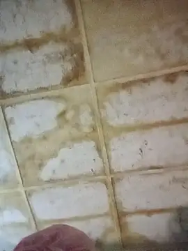 RFeltomWhitJ online show from 11-18-25, 11:15