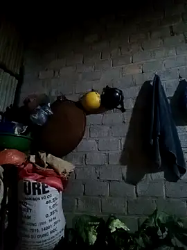 jienrrr online show from 02-24-26, 11:30