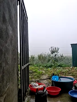 yoowwmr online show from 11-12-25, 12:11