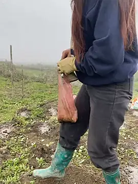 Snapshot of isaaa5 chatting on 03-17-26, 02:38 isaaa5 online show from 03-17-26, 02:38