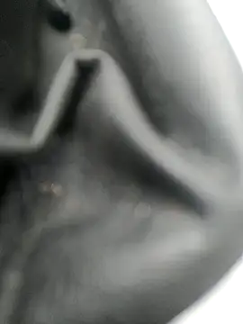 Snapshot of legaros chatting on 10-20-25, 03:12 legaros online show from 10-20-25, 03:12