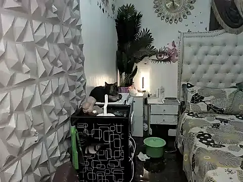 janecomander online show from 03-02-26, 08:54