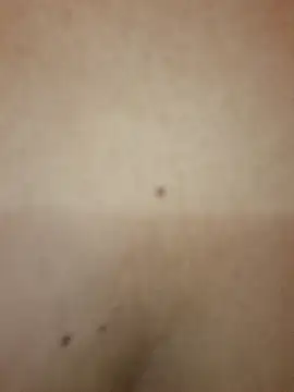 Luna 20x online show from 10-08-25, 07:22