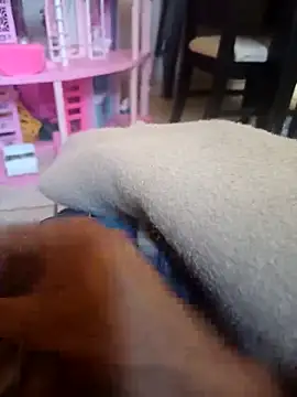 Snapshot of owiwiwkejkd chatting on 03-12-26, 11:11 owiwiwkejkd online show from 03-12-26, 11:11