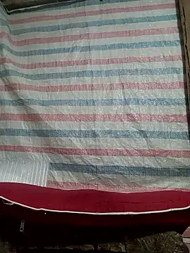 Many lize online show from 11-09-25, 11:03