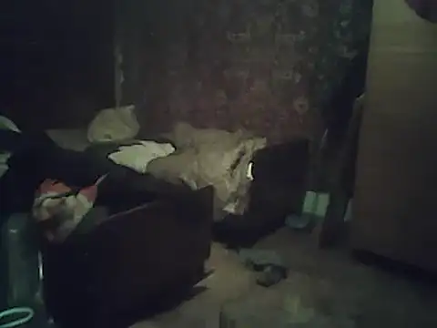 A1B3- online show from 02-02-26, 03:55