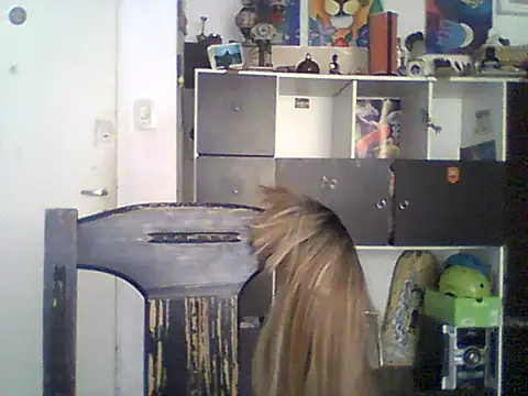 Bebita-zmp online show from 05-21-26, 04:03