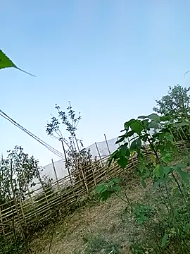 Chubbyhoney1 online show from 03-31-26, 09:43