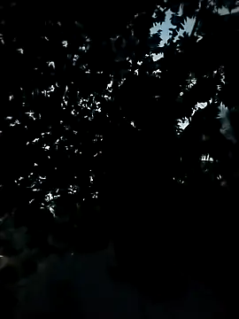 Snapshot of Girls_pussy_rider chatting on 11-24-25, 12:38 Girls pussy rider online show from 11-24-25, 12:38