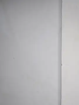 sneha bebo online show from 11-30-25, 04:00