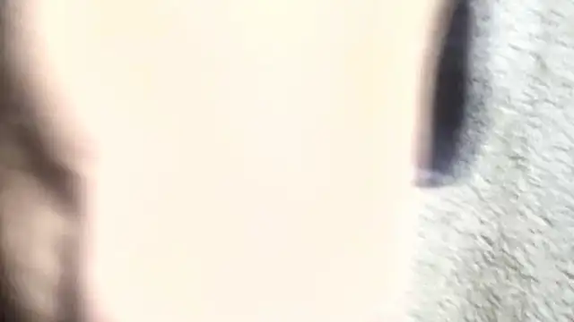 pietje1991 online show from 03-06-26, 01:18