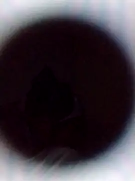 Snapshot of Cumnowd1 chatting on 10-19-25, 01:28 Cumnowd1 online show from 10-19-25, 01:28