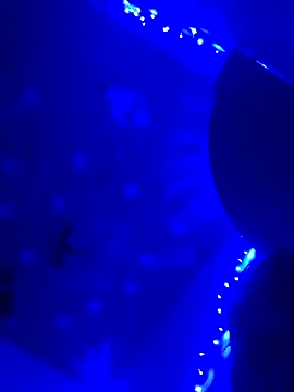 StatedEgalite online show from 04-24-26, 03:09