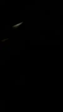 Ryder  online show from 07-19-26, 09:29