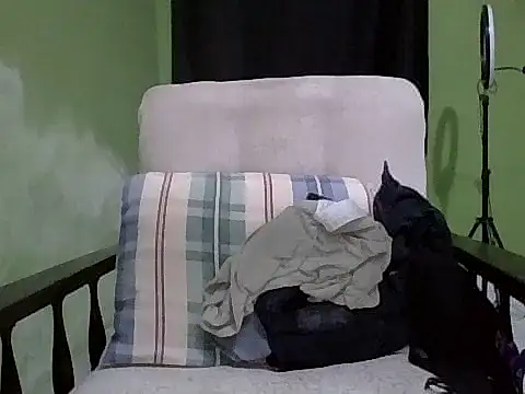 Snapshot of Ntshire chatting on 11-17-25, 11:43 Ntshire online show from 11-17-25, 11:43