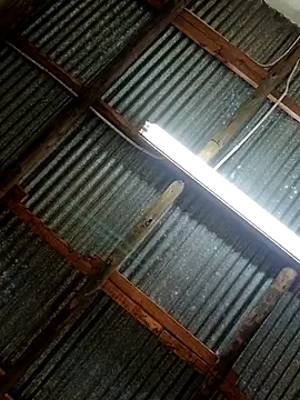 Fizozoo online show from 09-21-25, 04:58