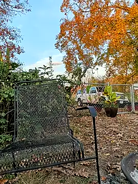 sizableunicorn7 online show from 11-06-25, 10:32