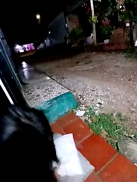 jeltsin3-25 online show from 02-24-26, 01:58