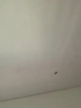 lana rousse01 online show from 09-09-25, 02:49