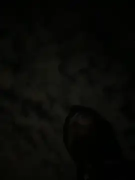 theone3121 online show from 10-15-25, 11:43