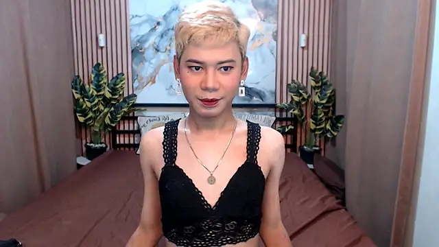 Snapshot of MissTransStella69 chatting on 08-05-26, 05:54 MissTransStella69 online show from 08-05-26, 05:54