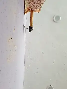 funcreat online show from 09-11-25, 11:54